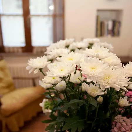 Apartament Casa Corradini